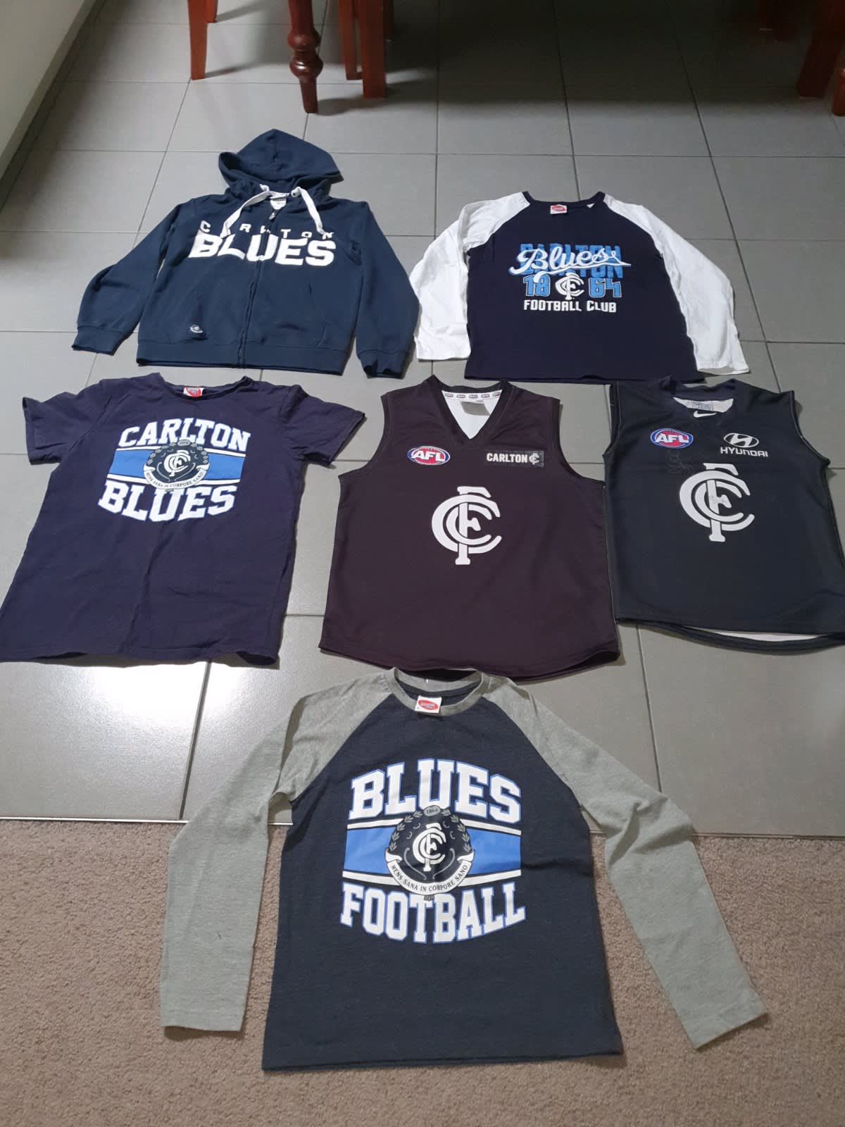 Carlton Blues AFL Footy Kids Youths Football Jumper Guernsey Jersey 4 :  : Sports, Fitness & Outdoors