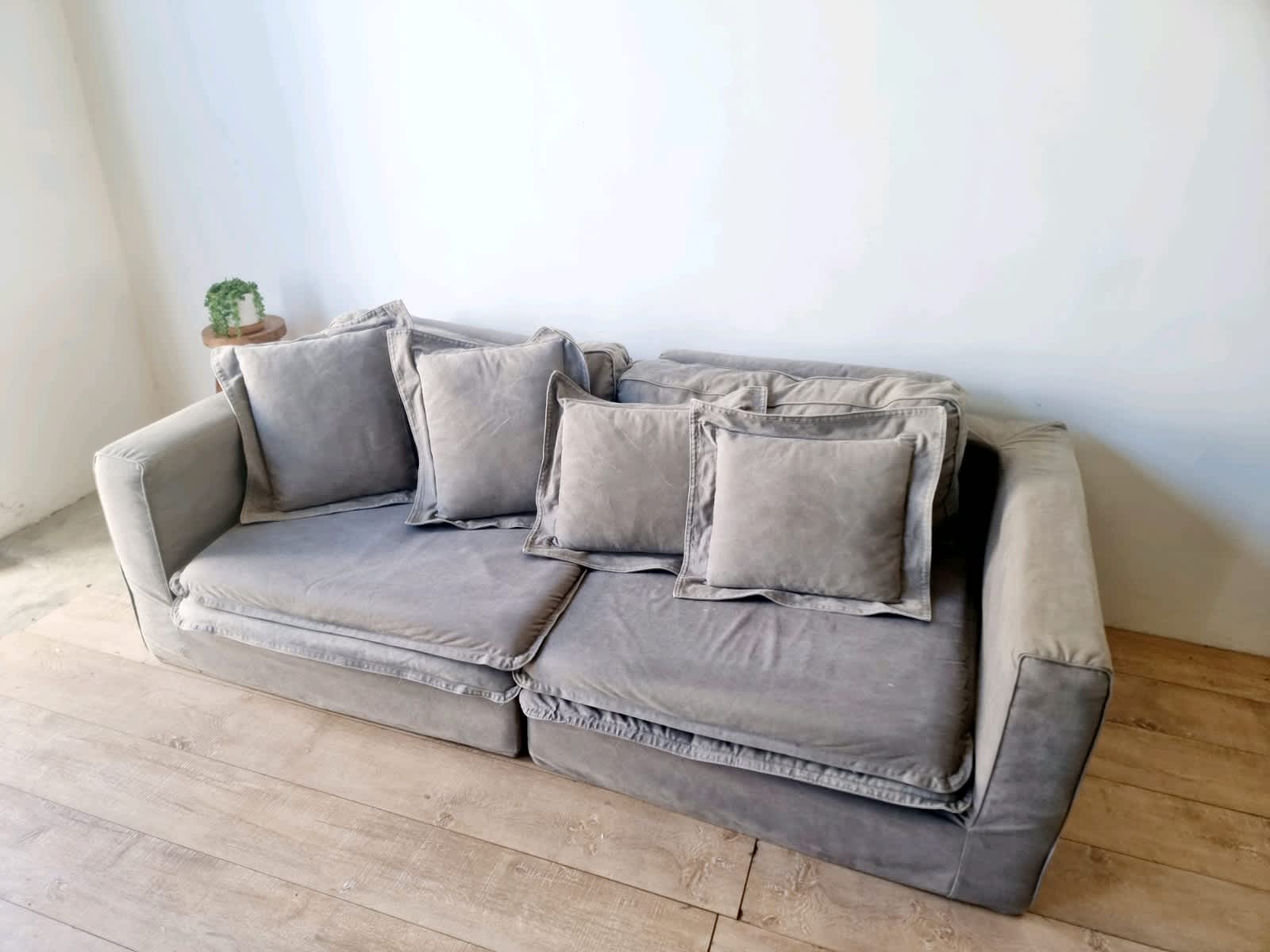 Hamilton Sofa Freedom Matttroy