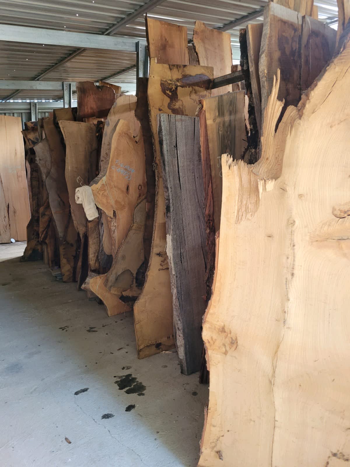 Fab Slabs Natural Wood Heavy Duty Camphor Laurel Large Cutting