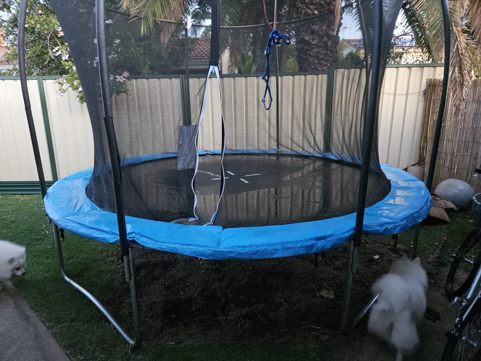 Springfree trampoline hotsell for sale used