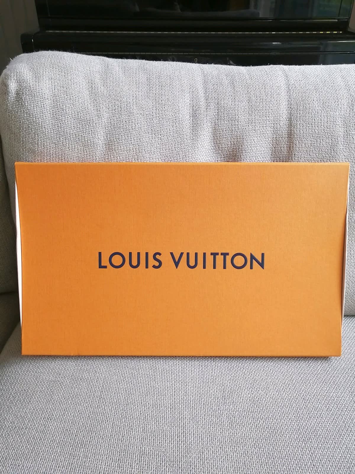 Louis Vuitton silky scarf, Accessories, Gumtree Australia Casey Area -  Cranbourne