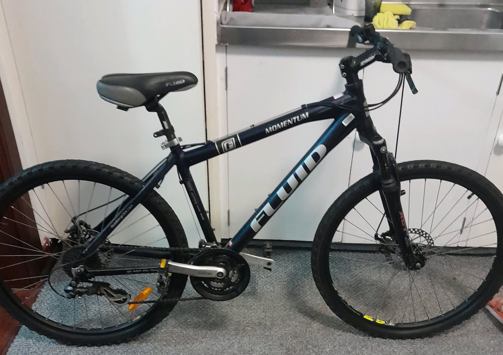 momentum fluid bike