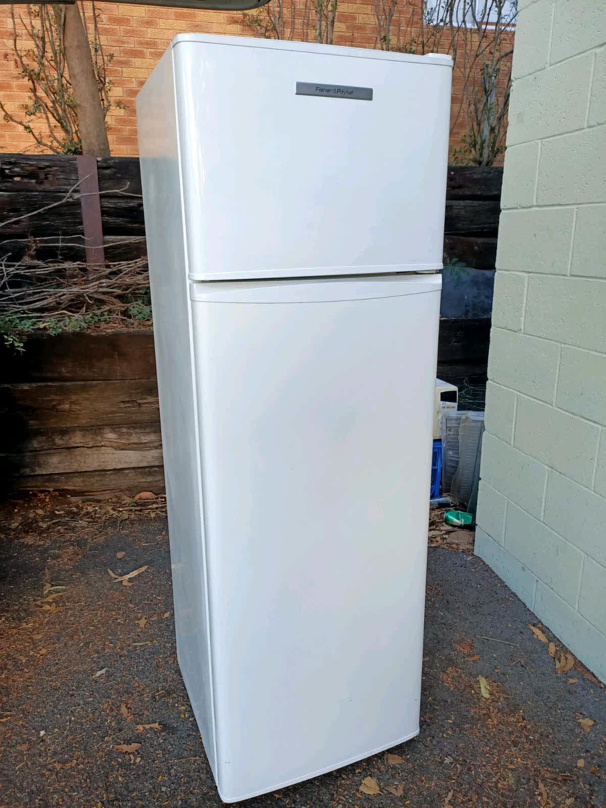 fisher and paykel 248l fridge