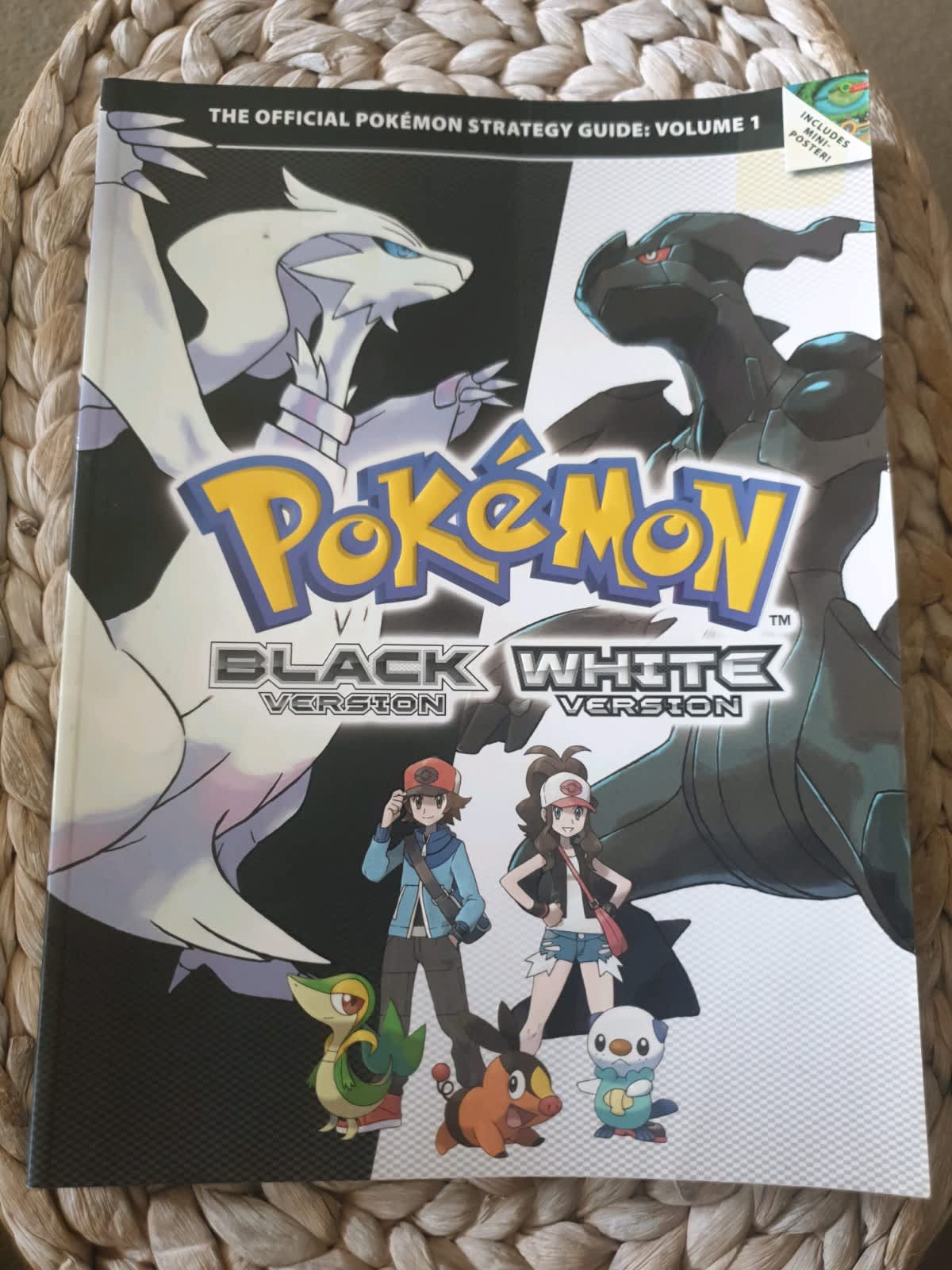 POKEMON HEARTGOLD & SOULSILVER VERSION VOL 2: OFFICIAL POKEMON KANTO GUIDE  & NATIONAL POKEDEX