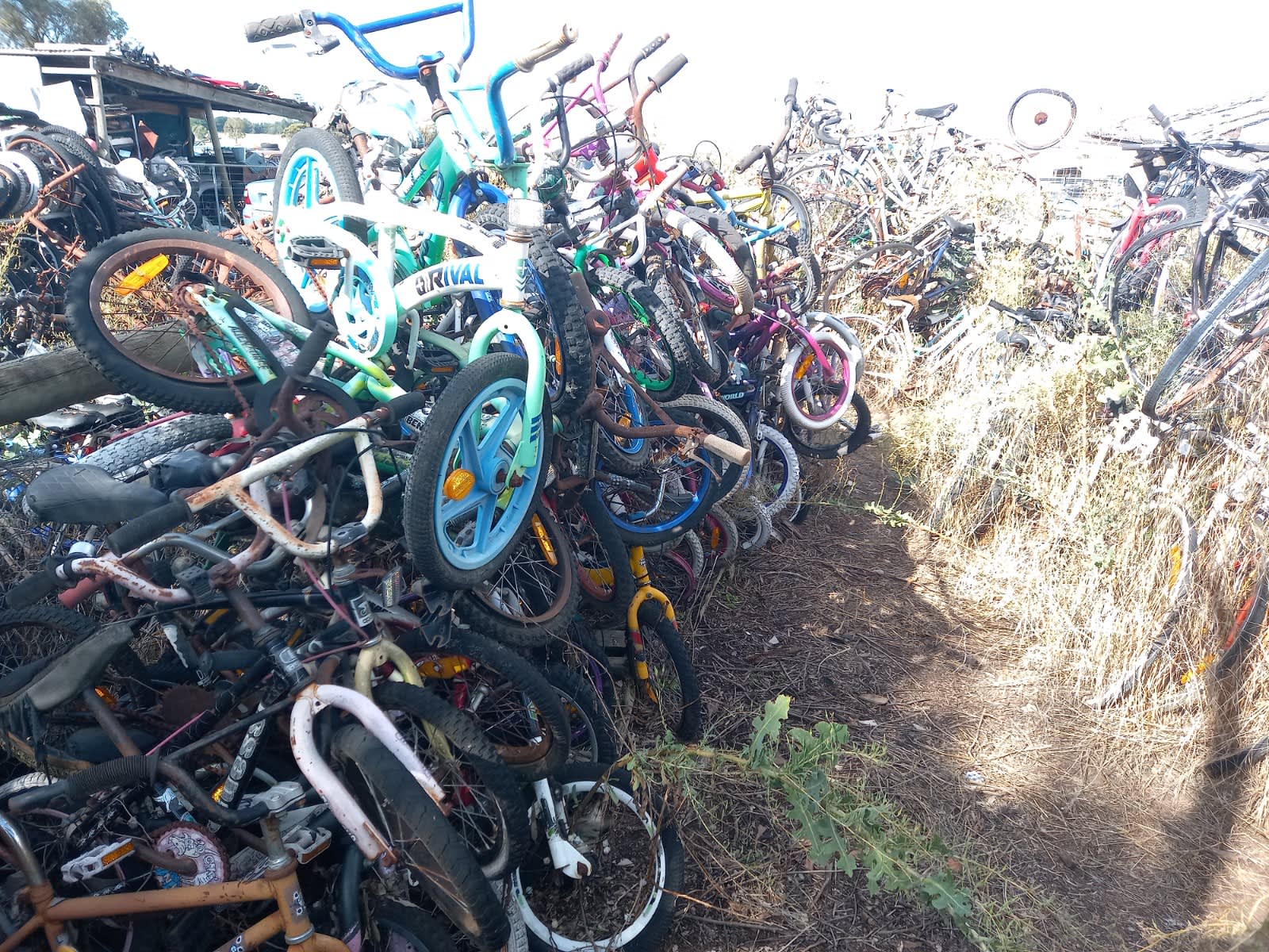 gumtree bikes near me