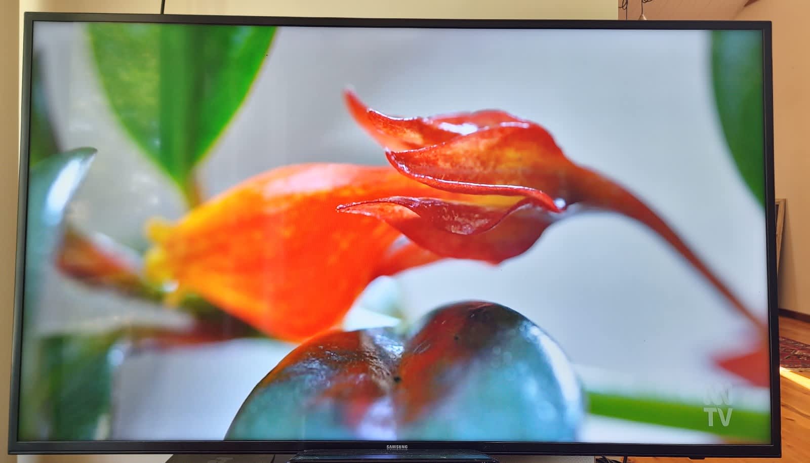 series 6 55 inch ku6000 uhd led tv *