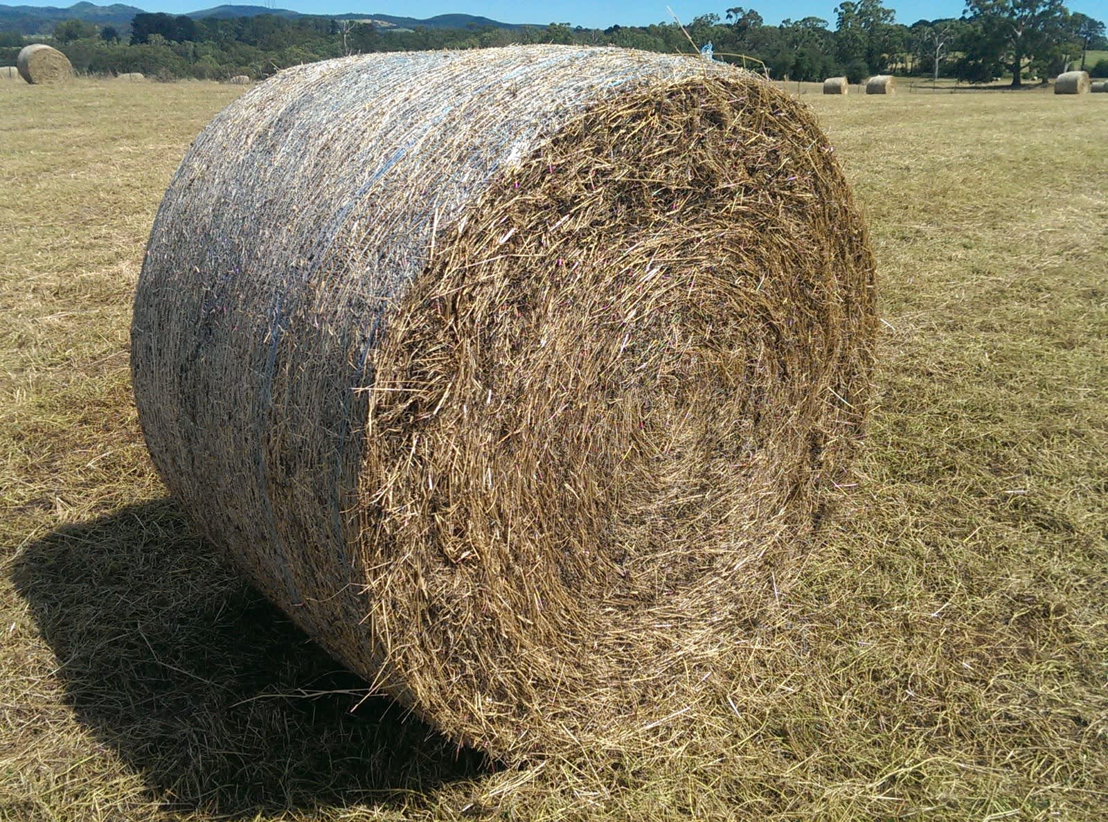 Hay For Pets & Straw Mulch For Sale