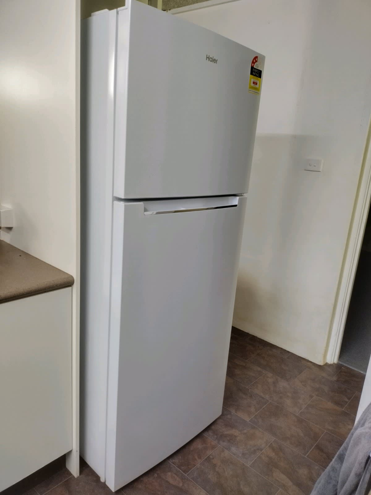 fisher and paykel winz fridge