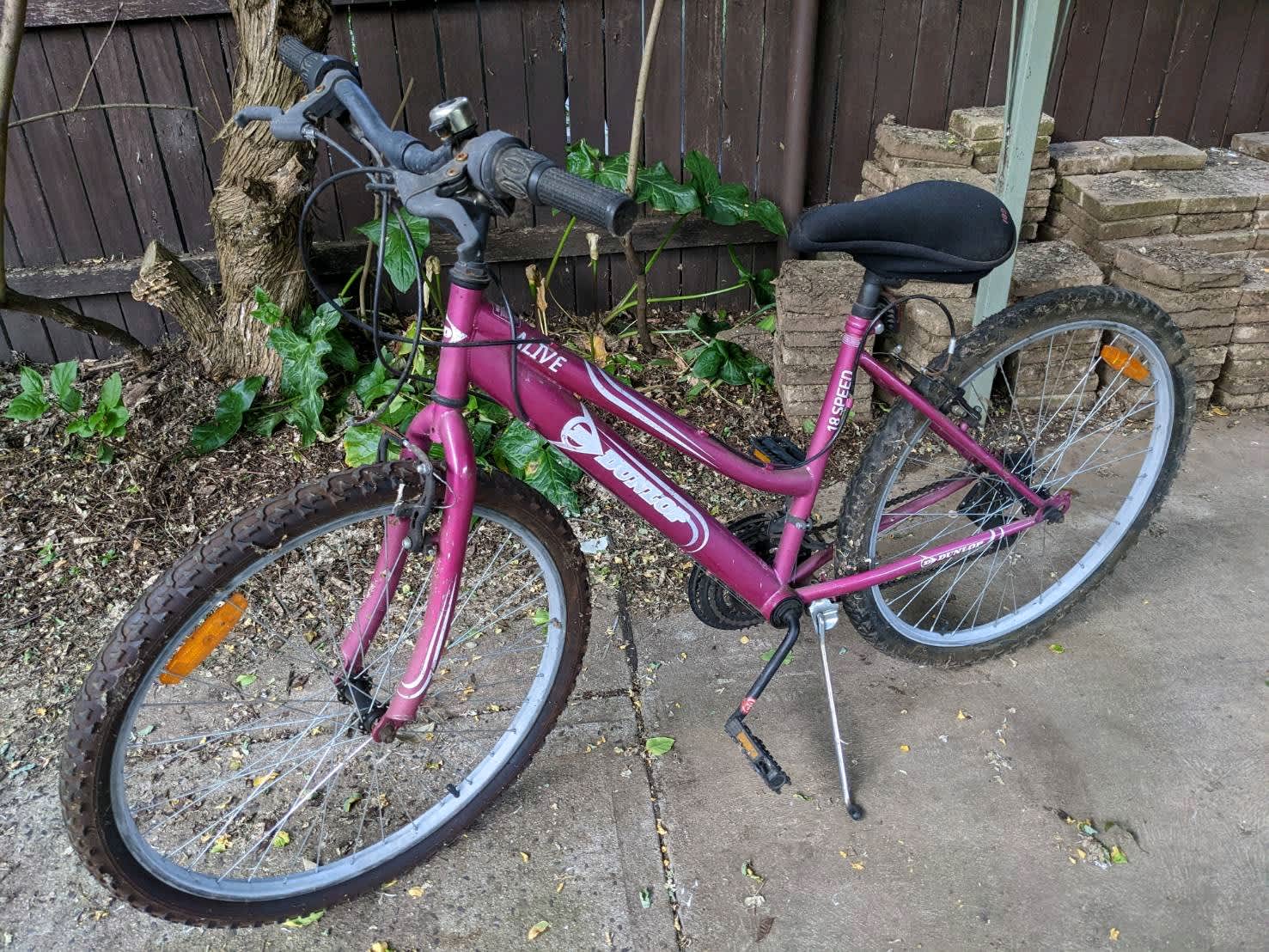 dunlop alive 18 speed bike
