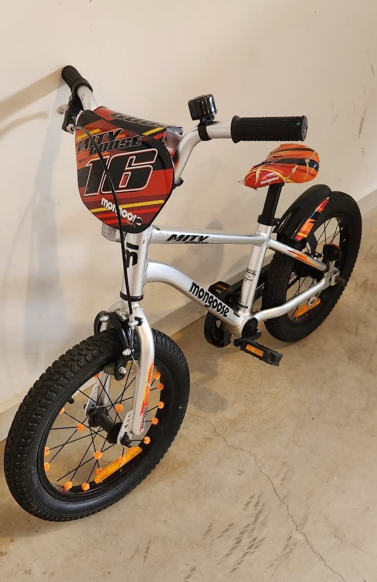 Mongoose mitygoose 2024