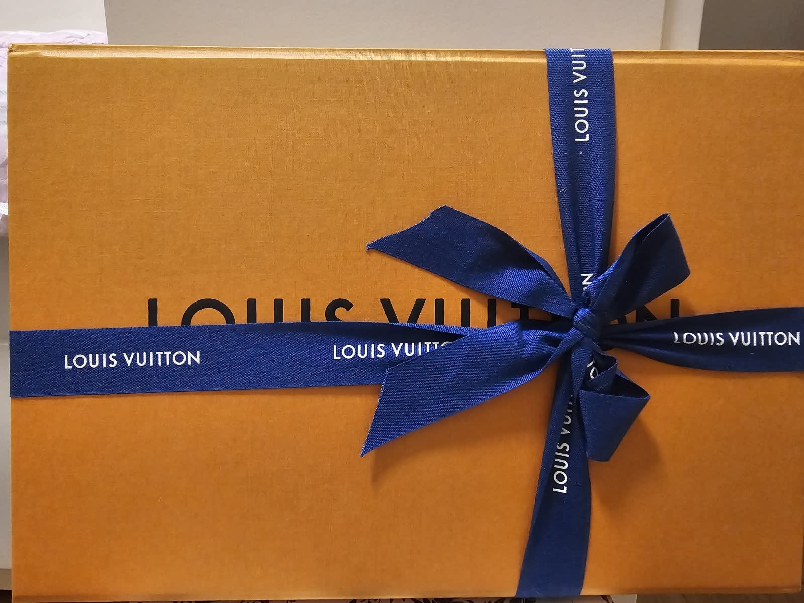 loui vuitton new in New South Wales  Gumtree Australia Free Local  Classifieds