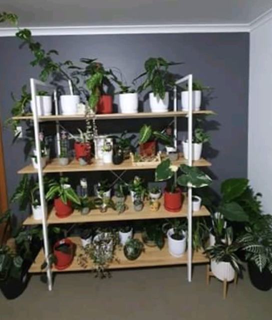 4 tier LARGE shelving unit can be fixed to wall (optional) Bookcases