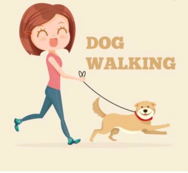 Dog or Cat Walking Western Suburbs Adelaide Other Pet Services