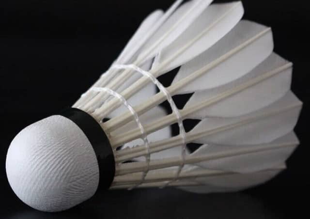 Top Quality Badminton Shuttlecocks for sale - Racquet Sports in ...