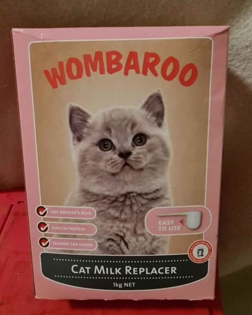 Kitten milk replacer outlet australia