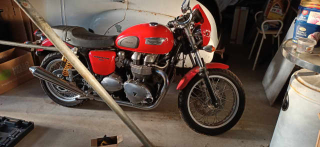 gumtree triumph motorcycles