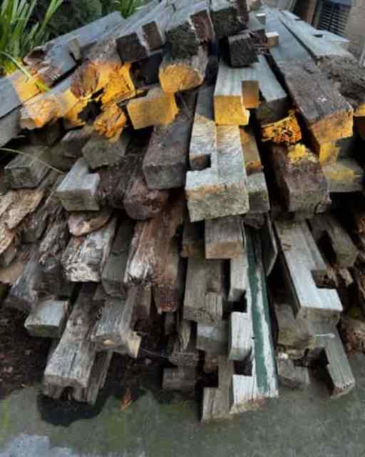 OLD HARDWOOD FENCE POSTS PERFECT FOR FIREWOOD Other Home & Garden in