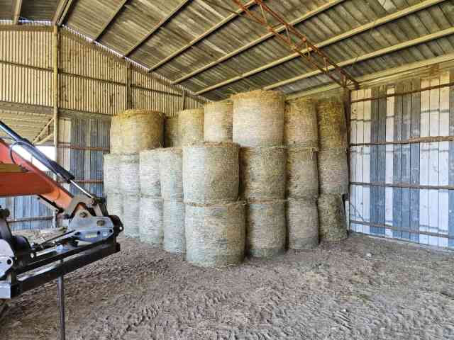 Millet, Rhodes & legume hay - Miscellaneous Goods in Widgee QLD ...