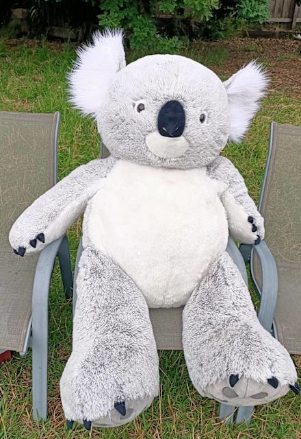 giant koala squishmallow