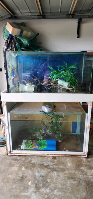 tropical fish tank set up for sale