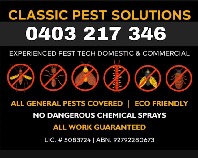 Pest control Sydney Area Since 2018 Pest Control Gumtree Australia