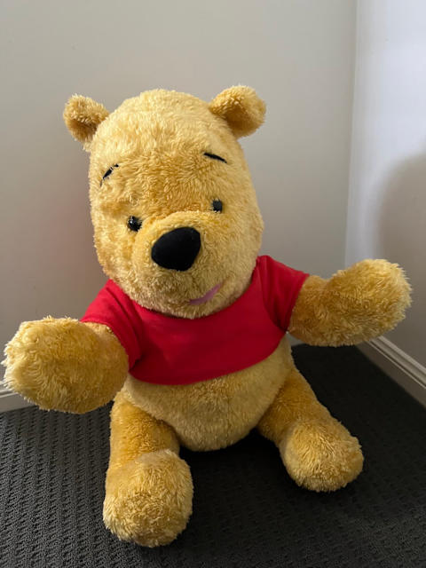 pooh bear plush toy