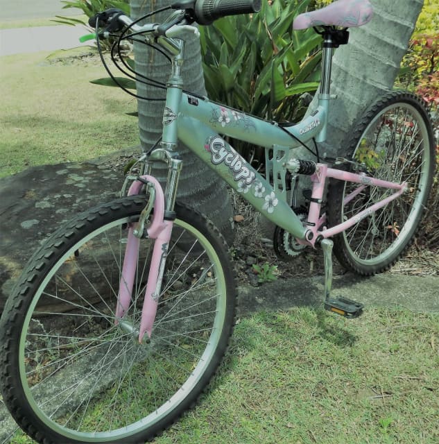 cyclops ladies mountain bike
