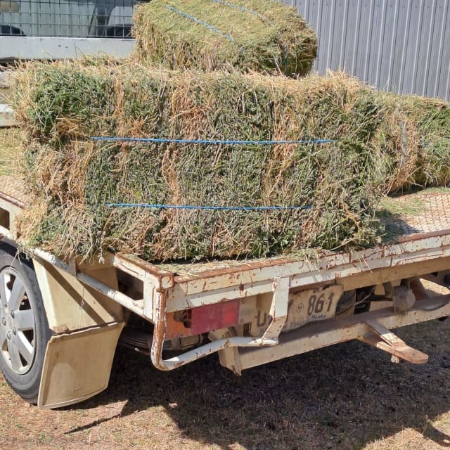 Small Square Lucerne Hay Bales | Miscellaneous Goods | Gumtree ...