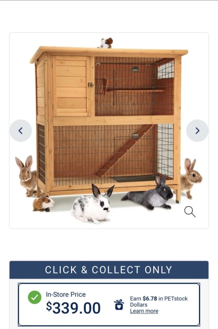 petstock rabbit hutch