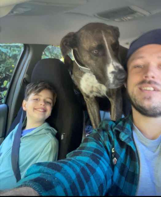 Looking for house or Cabin Other Real Estate Gumtree Australia