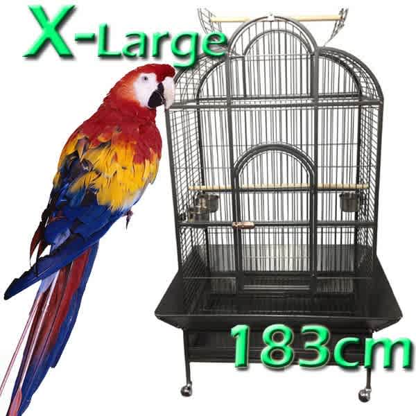 bird aviary cockatoo cage bird cage aviary open roof Pet Products