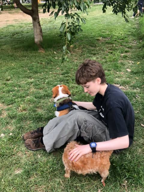 experienced animal lover available for your pet walking and sitting | Sitting | Gumtree Australia Brisbane South West - Greenslopes | 1305610770 experienced animal lover available for your pet walking and sitting | Sitting | Gumtree Australia Brisbane South West - Greenslopes | 1305610770