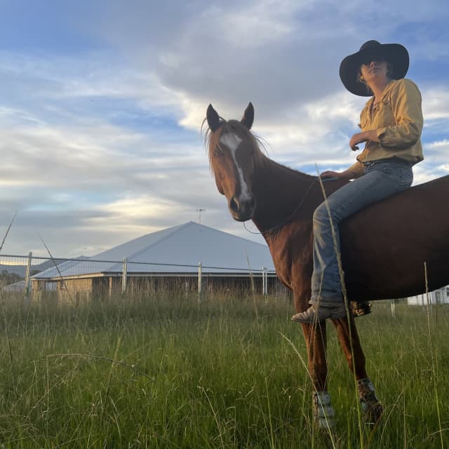 Horse breaking and training Horses & Ponies Gumtree Australia Nowra