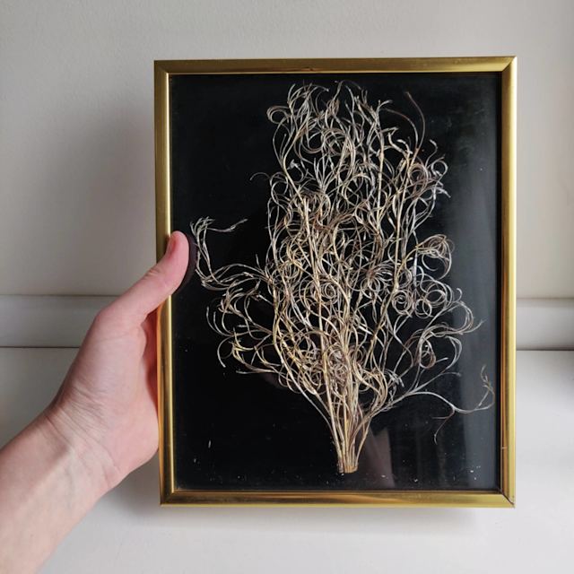 Vintage Framed Handcrafted Wire Tree Wall Art Mid Century 20.5x25.5cm