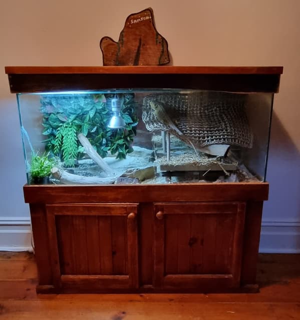 Bearded dragon tank outlet stand