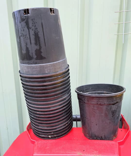 Plant Pots..175mm plastic plant pots Plants Gumtree Australia