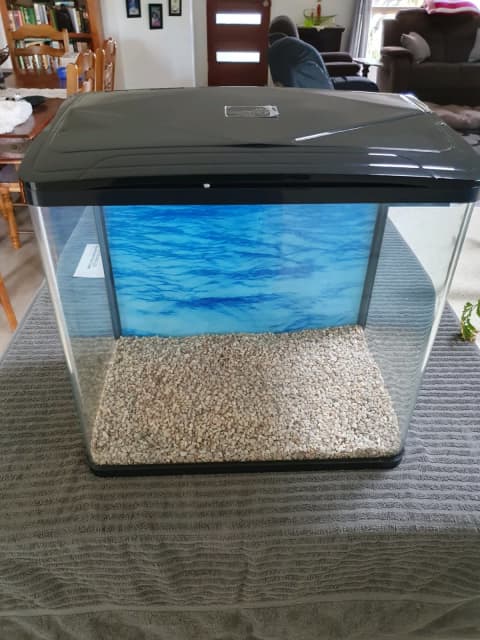 pawever pets curved glass led aquarium fish tank 30l