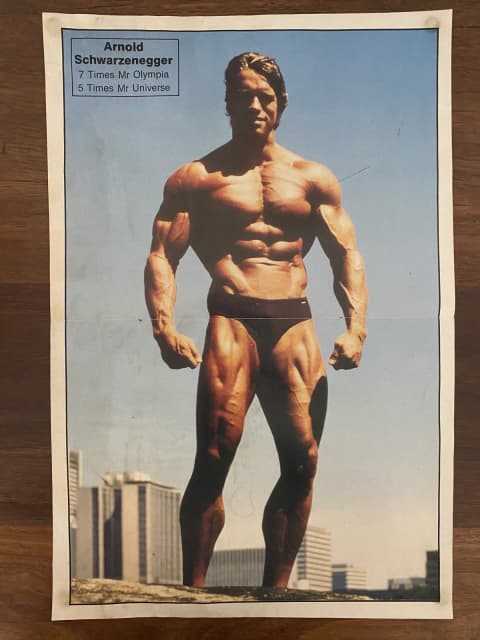 arnold schwarzenegger bodybuilding poster