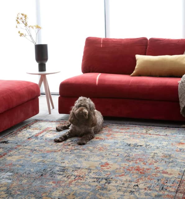 Persian Hera Rug 1.6x2.3m... Rugs & Carpets Gumtree Australia Perth