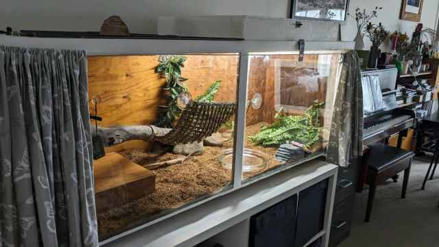 Large Reptile Enclosure | Pet Products | Gumtree Australia Australian ...