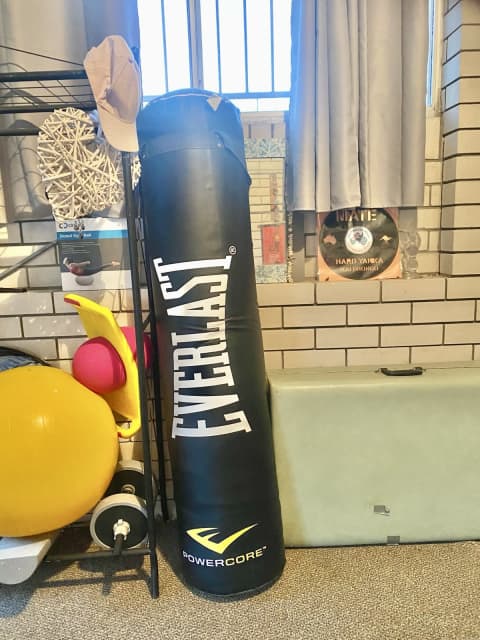 Everlast 5ft best sale punch bag