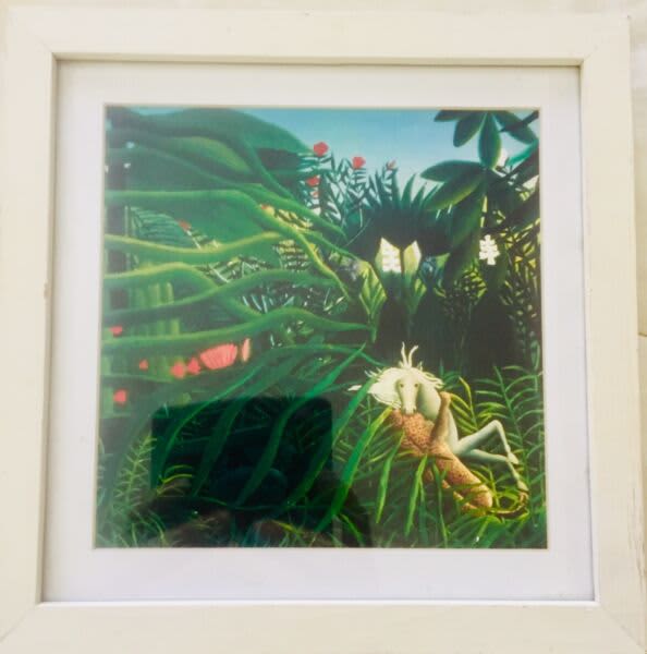 Cute Vibrant Framed Image Art Gumtree Australia Bowral Area