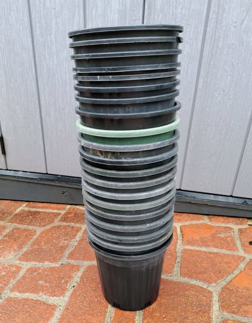 Plastic plant pots..200mm Plants Gumtree Australia Canterbury Area