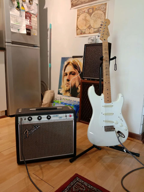 fender amp refrigerator