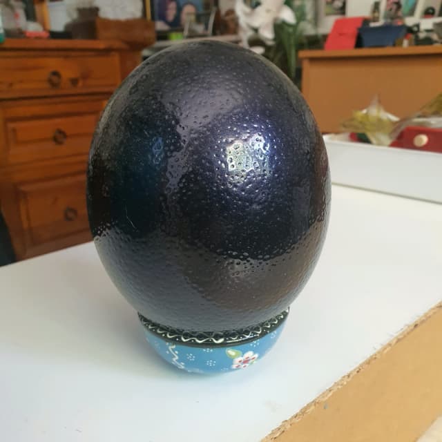 Ostrich egg, painted , decor, gift Art Gumtree Australia Brisbane