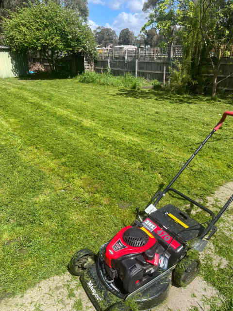 Masport 470 2N1 Petrol Lawn Mower Lawn Mowers in Chelsea VIC Gumtree Australia