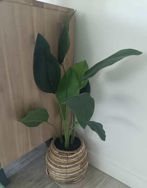 artificial plant with basket Decorative Accessories in Bundall QLD