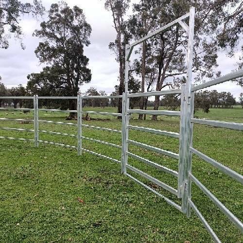 Sheep, Cattle, Goat, Horse Pony Yards | Livestock | Gumtree Australia ...