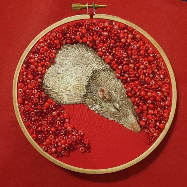 Tails of the Heart Sanctuary for Rats and Mice Other Pets Gumtree