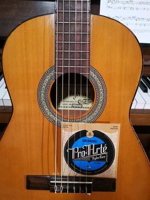 angelica guitar price